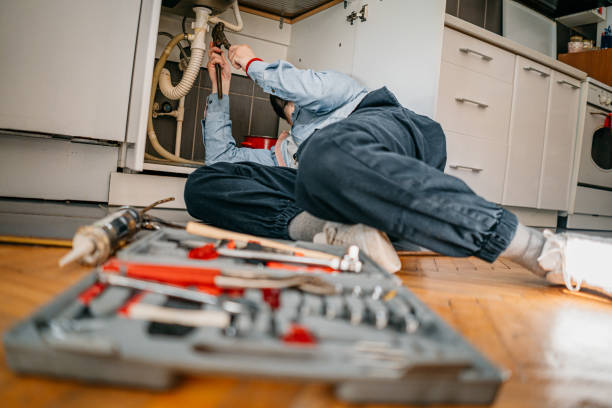 Best Commercial Plumbing Services  in Crown Pot, IN