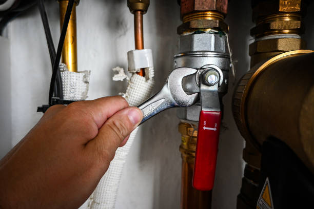 Best Shower Repair Services  in Crown Pot, IN